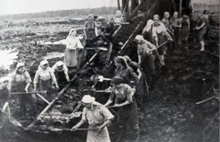 Труженики тыла. Мордовская АССР. 1940-е