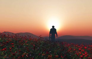 3D render of a soldier walking in a poppy field